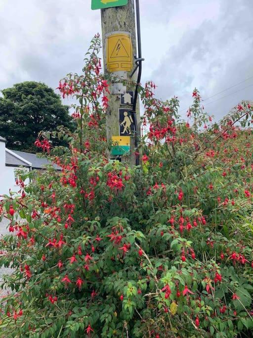 Castlegregory-Seaside 2 Bedroomed Cottage 외부 사진