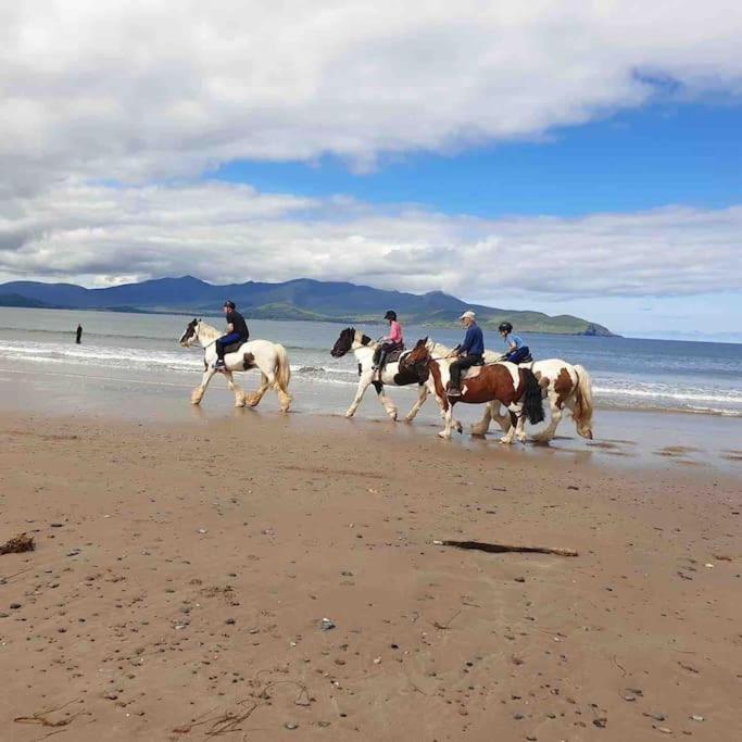 Castlegregory-Seaside 2 Bedroomed Cottage 외부 사진