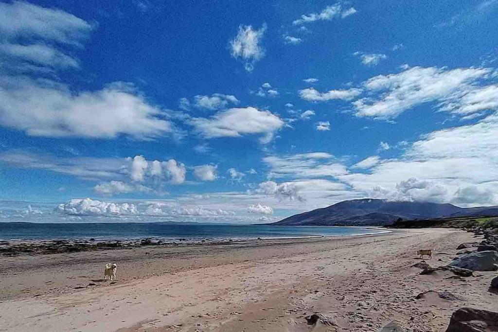 Castlegregory-Seaside 2 Bedroomed Cottage 외부 사진